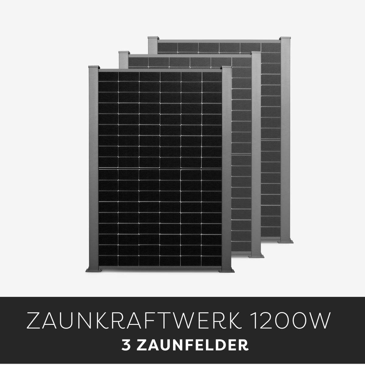 Efficienza Zaunkraftwerk 1200W