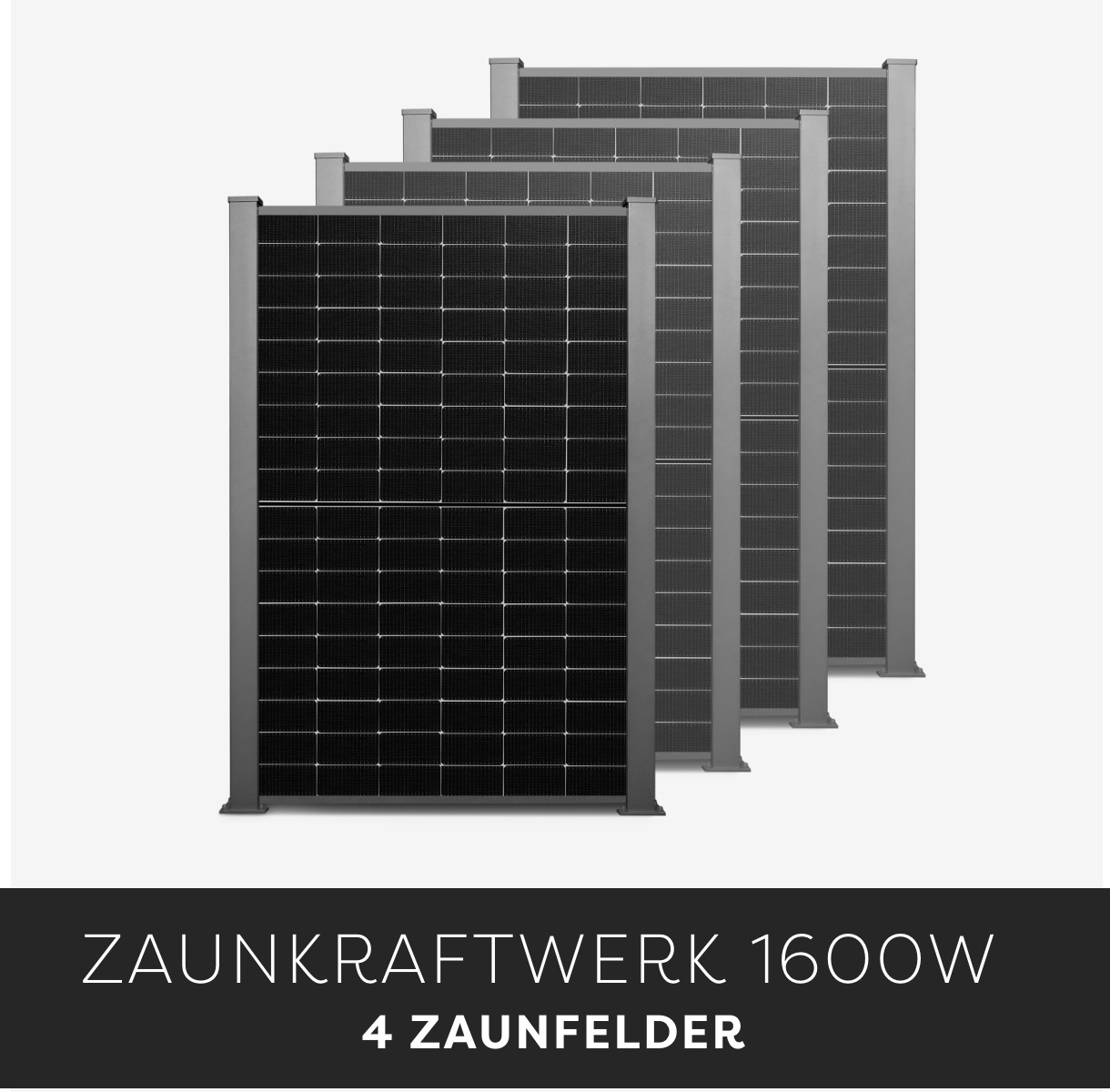 Efficienza Zaunkraftwerk 1600W