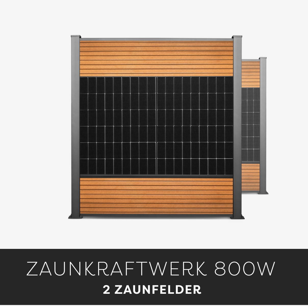 Eleganza Zaunkraftwerk 800W